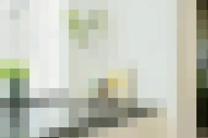 Emmalaan 16 Geldrop thumbnail 13