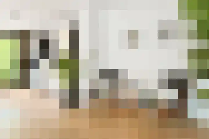Emmalaan 16 Geldrop thumbnail 19