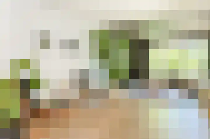 Emmalaan 16 Geldrop thumbnail 20