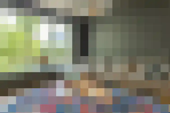 Emmalaan 16 Geldrop thumbnail 22
