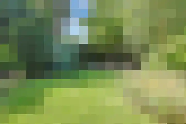 Emmalaan 16 Geldrop thumbnail 29