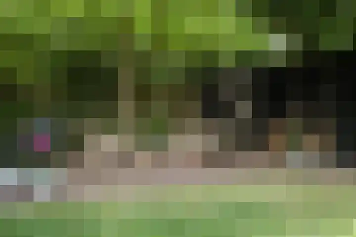 Emmalaan 16 Geldrop thumbnail 30