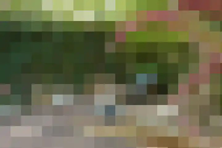 Emmalaan 16 Geldrop thumbnail 32