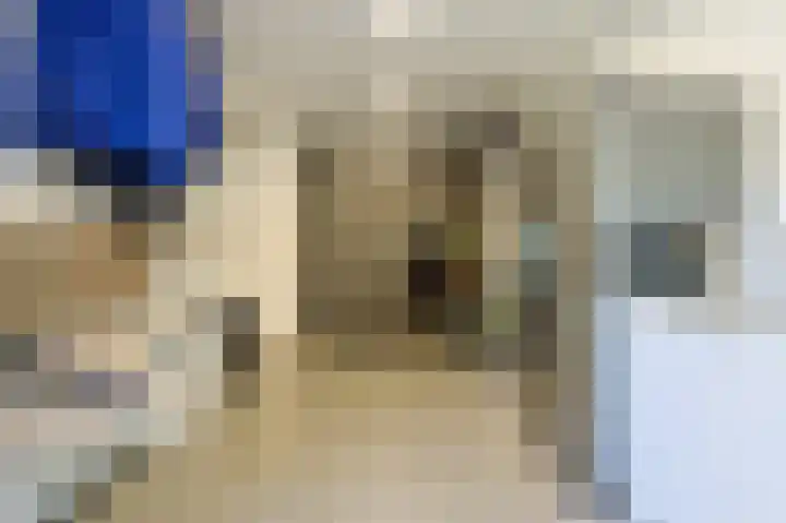Emmalaan 16 Geldrop thumbnail 35