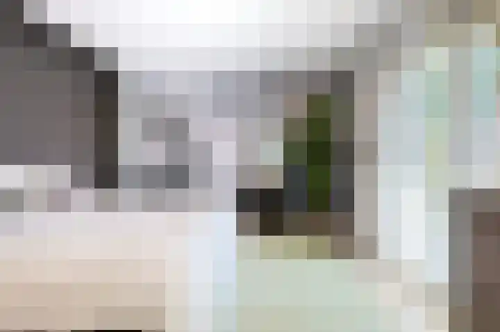 Emmalaan 16 Geldrop thumbnail 39