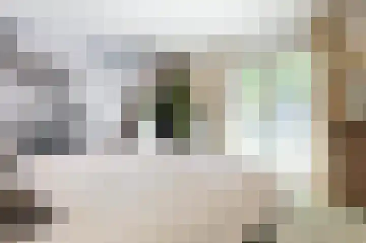 Emmalaan 16 Geldrop thumbnail 40