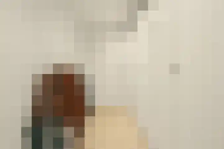 Emmalaan 16 Geldrop thumbnail 46