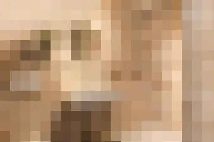 Emmalaan 16 Geldrop thumbnail 47