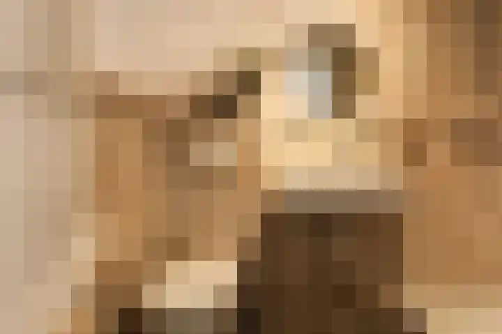 Emmalaan 16 Geldrop thumbnail 48