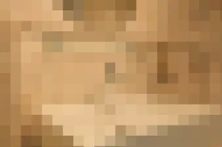 Emmalaan 16 Geldrop thumbnail 50