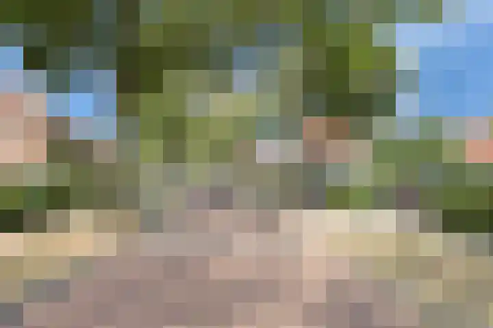 Emmalaan 16 Geldrop thumbnail 61