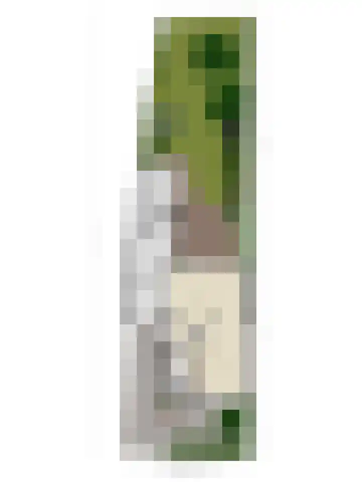 Emmalaan 16 Geldrop thumbnail 63