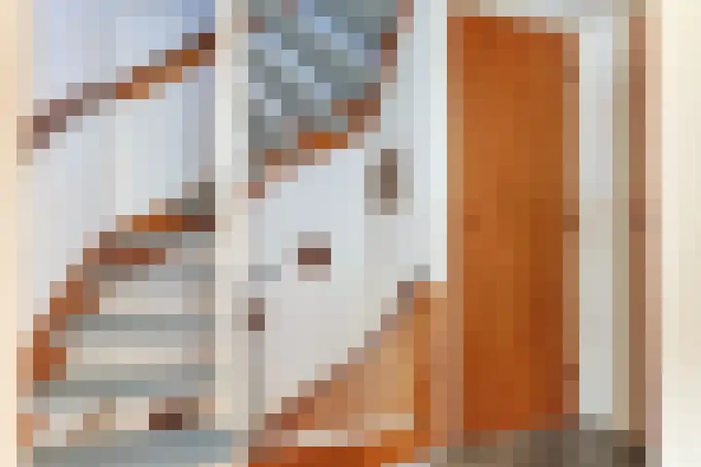 Emmalaan 17 Nieuwkoop thumbnail 34
