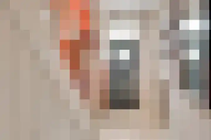 Emmalaan 17 Roermond thumbnail 15