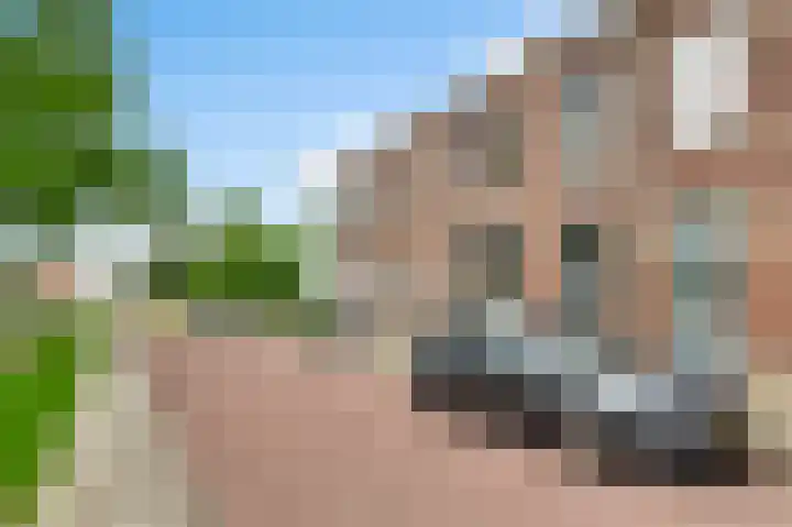 Emmalaan 17 Roermond thumbnail 28