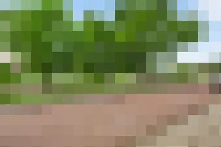Emmalaan 17 Roermond thumbnail 31