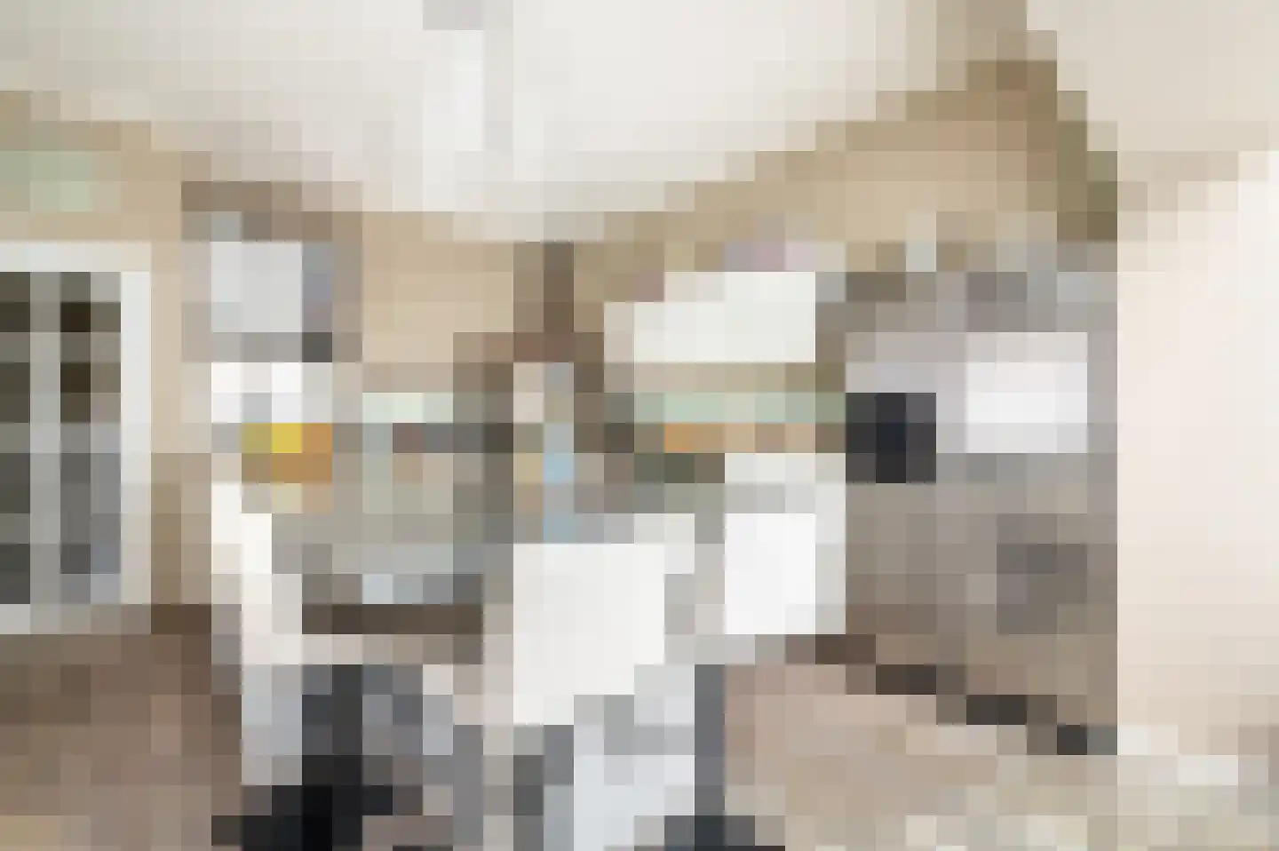 Emmalaan 18 Apeldoorn thumbnail 17