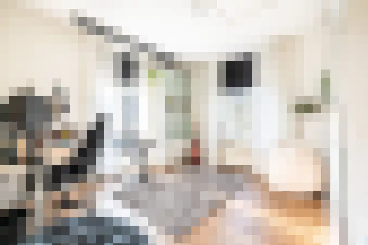 Emmalaan 18 Apeldoorn thumbnail 26