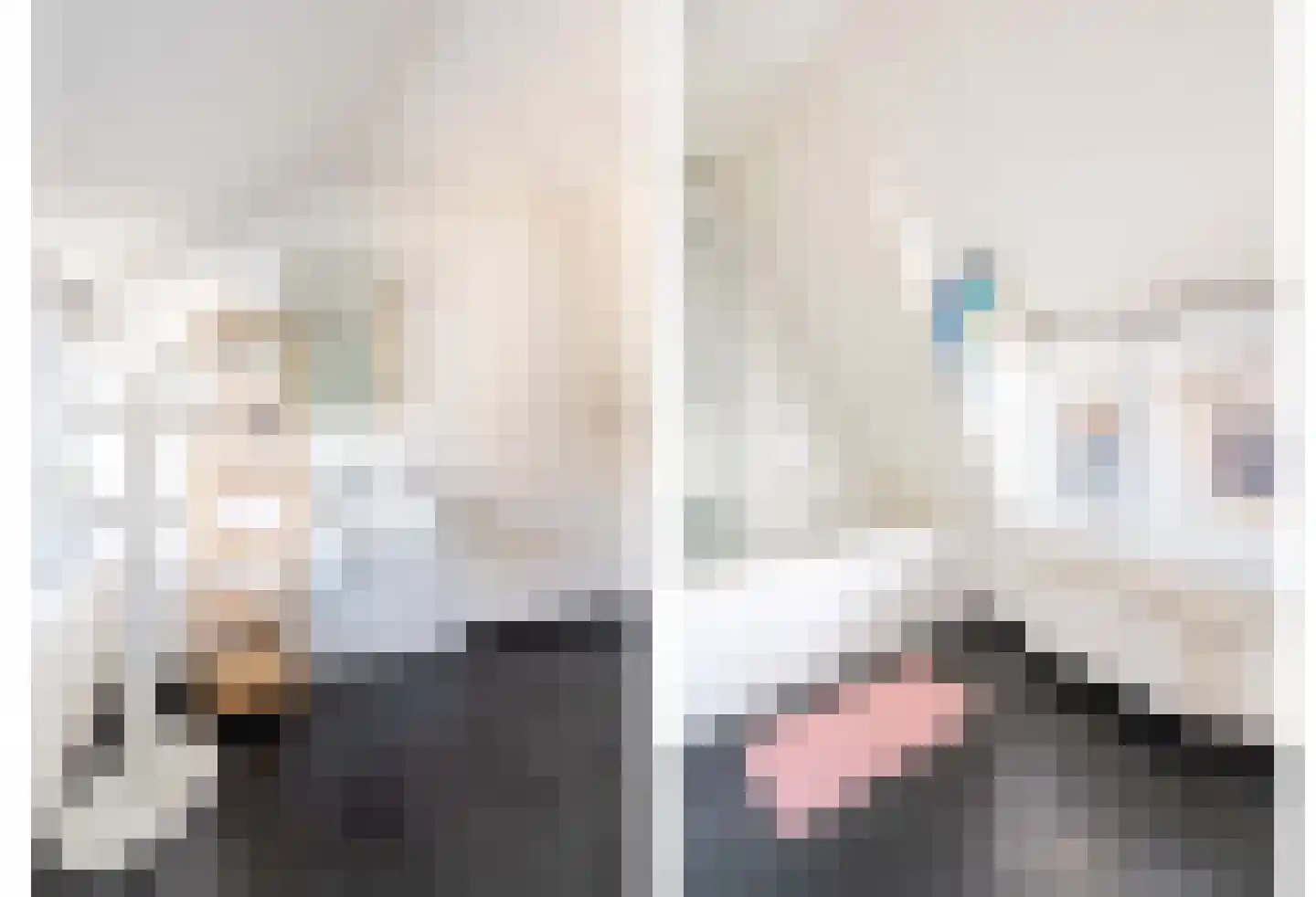 Emmalaan 18 Apeldoorn thumbnail 27