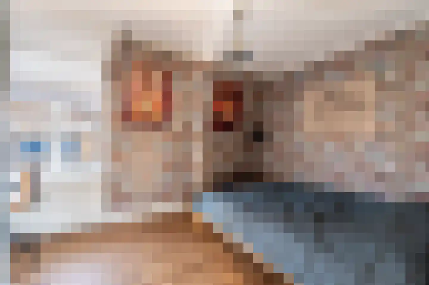 Emmalaan 18 Apeldoorn thumbnail 28