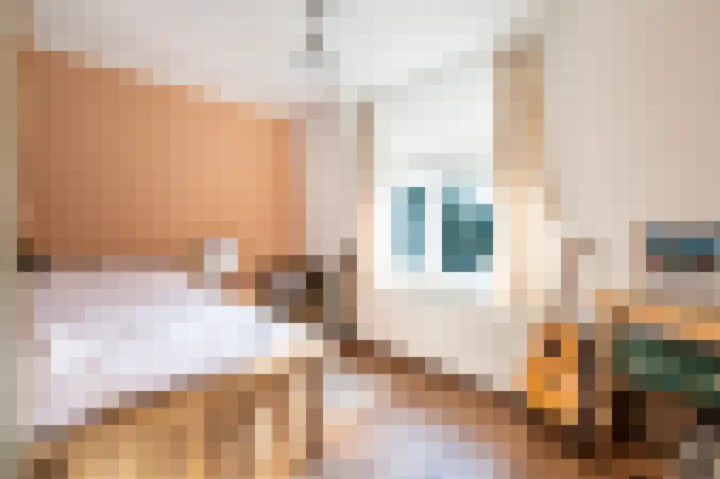 Emmalaan 18 Apeldoorn thumbnail 29