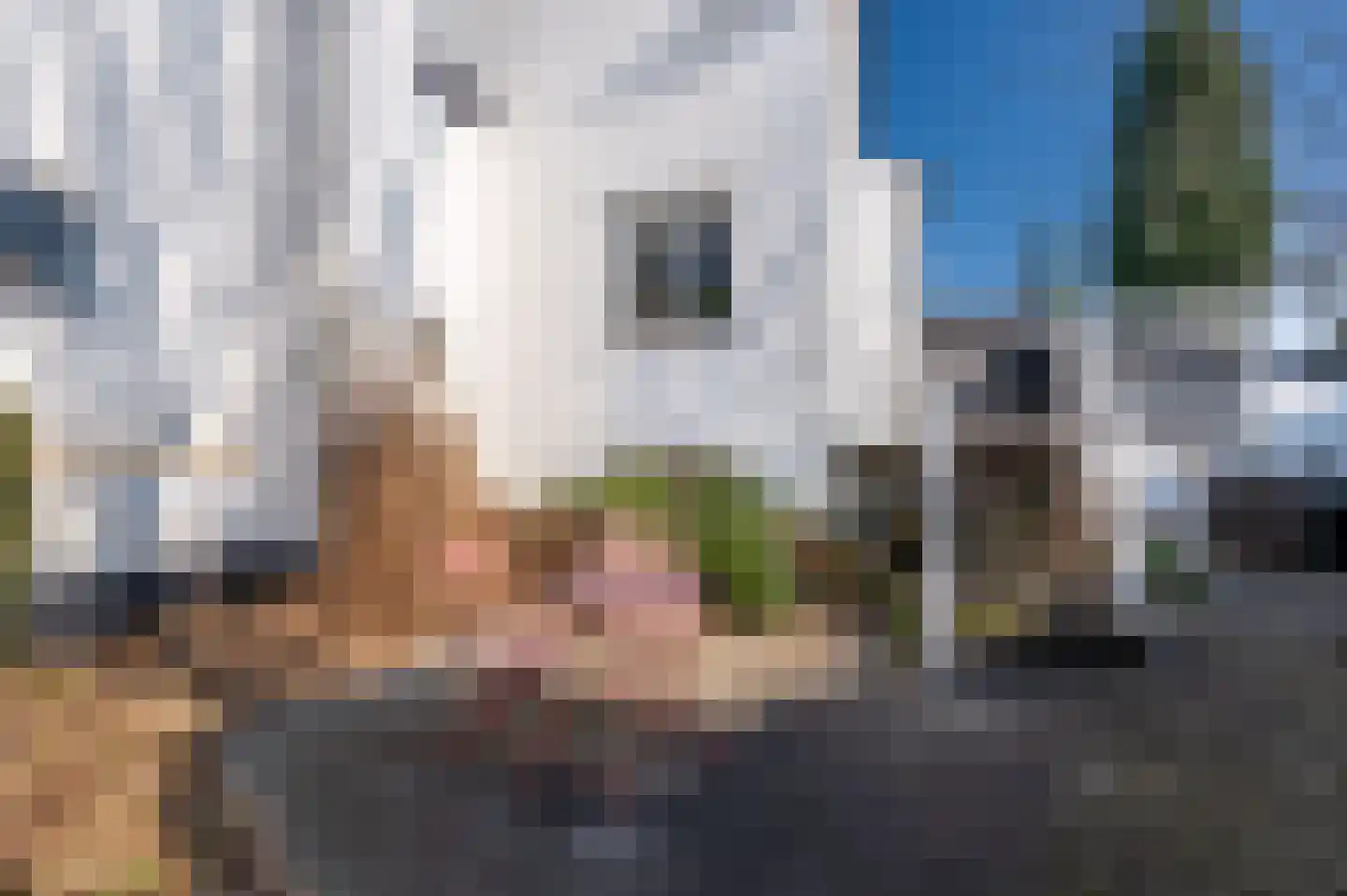 Emmalaan 18 Apeldoorn thumbnail 36