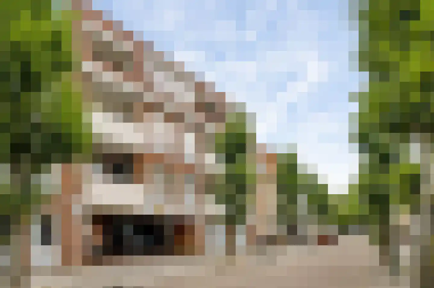 Emmalaan 18 J Valkenburg thumbnail 19