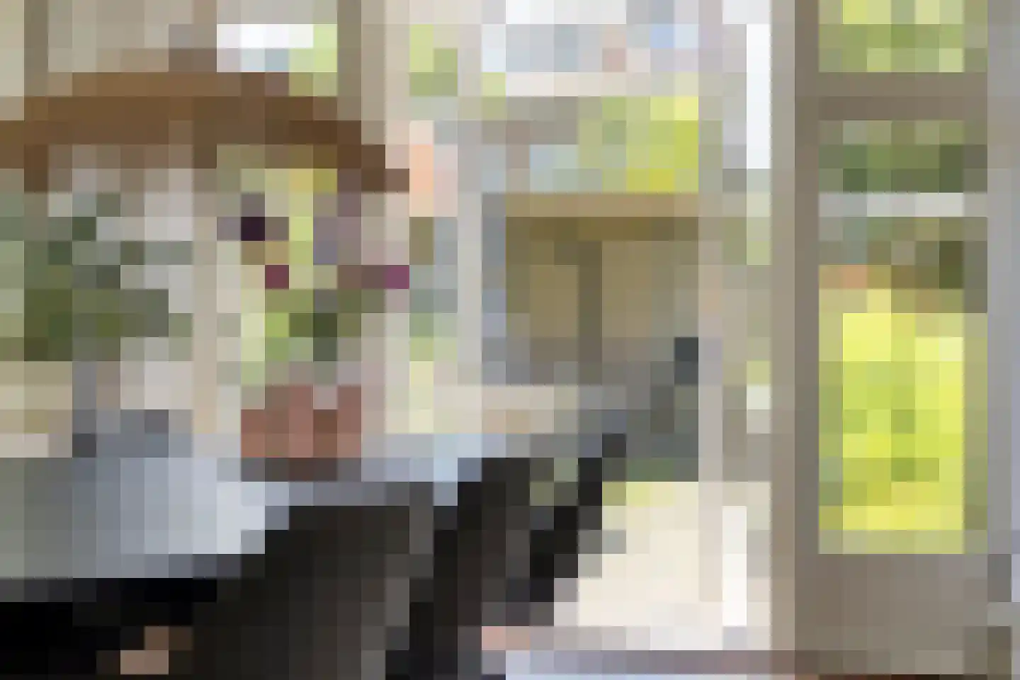 Emmalaan 18 Oegstgeest thumbnail 12