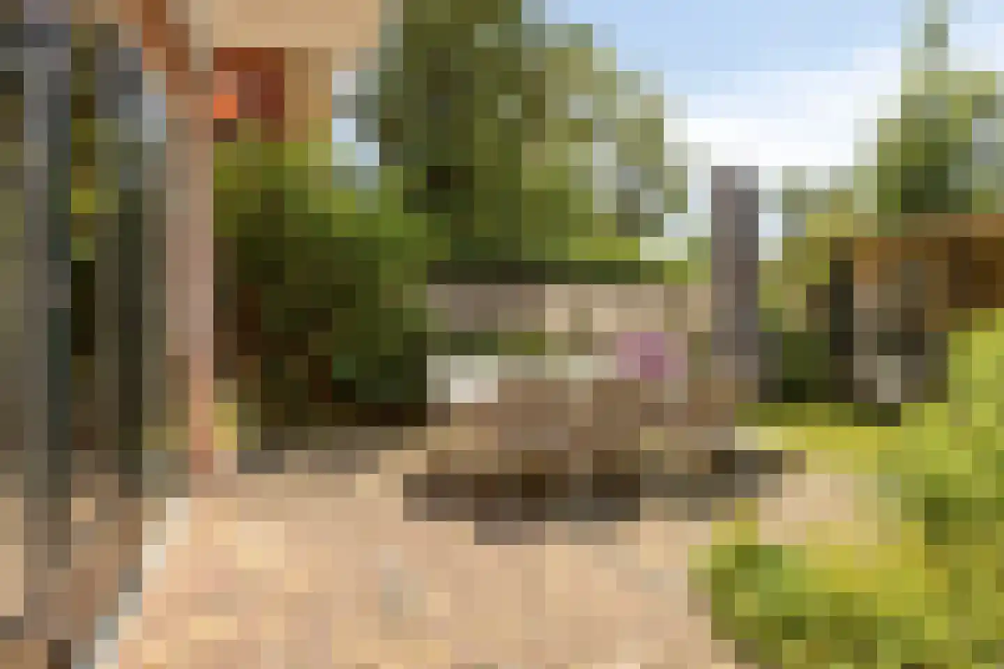 Emmalaan 18 Oegstgeest thumbnail 13