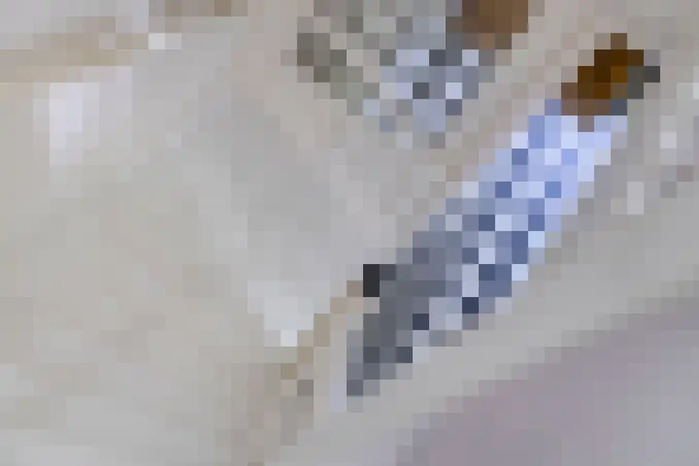 Emmalaan 18 Oegstgeest thumbnail 21