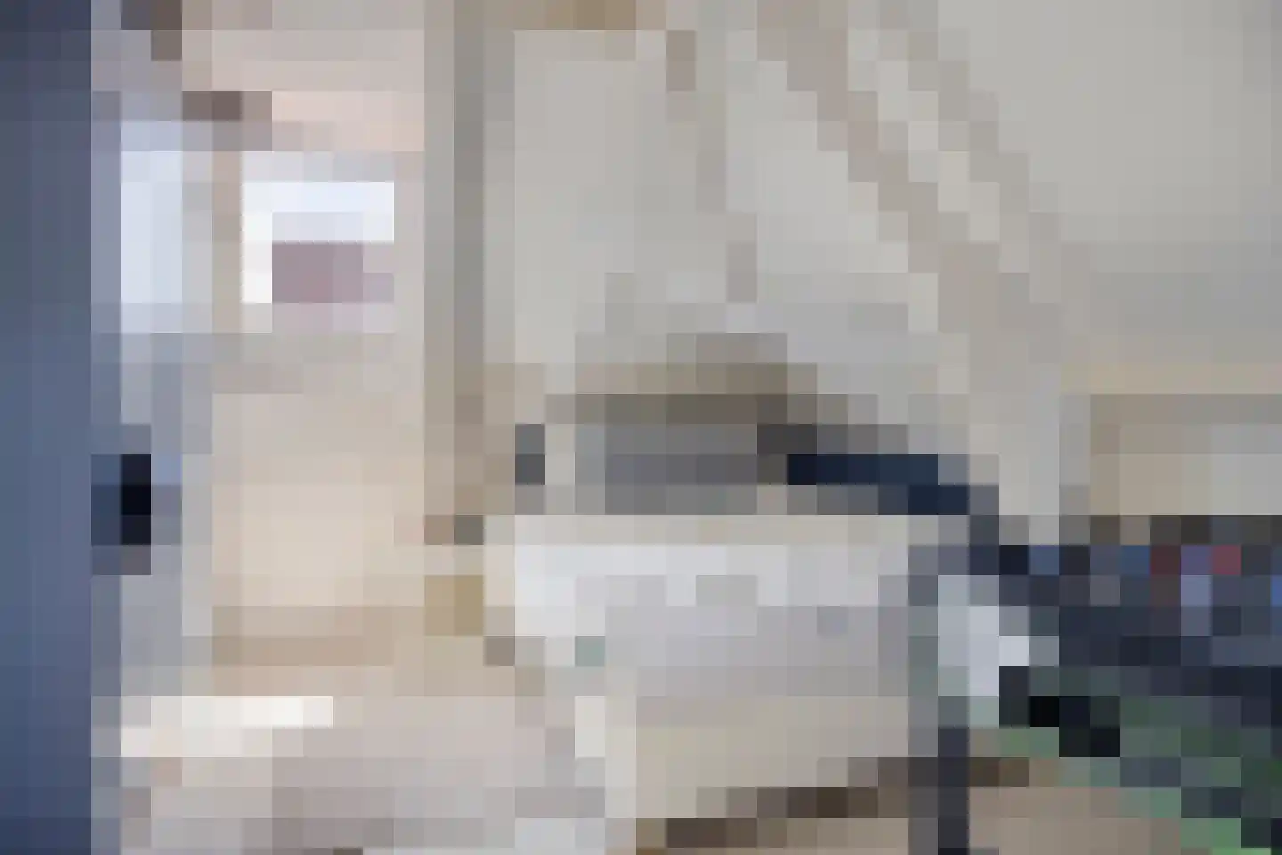 Emmalaan 18 Oegstgeest thumbnail 36