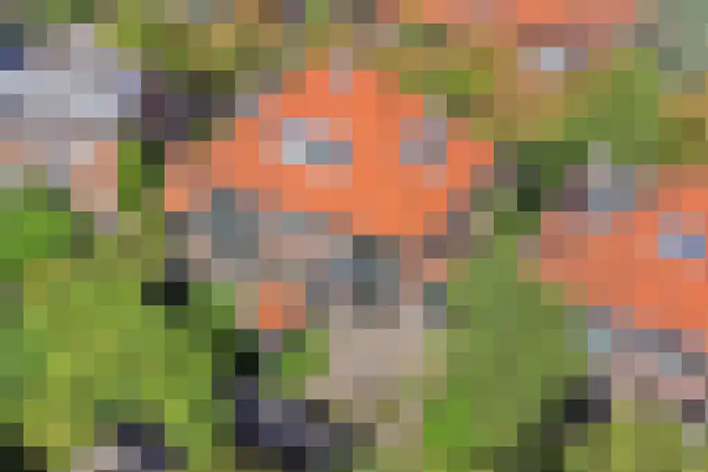 Emmalaan 18 Oegstgeest thumbnail 44