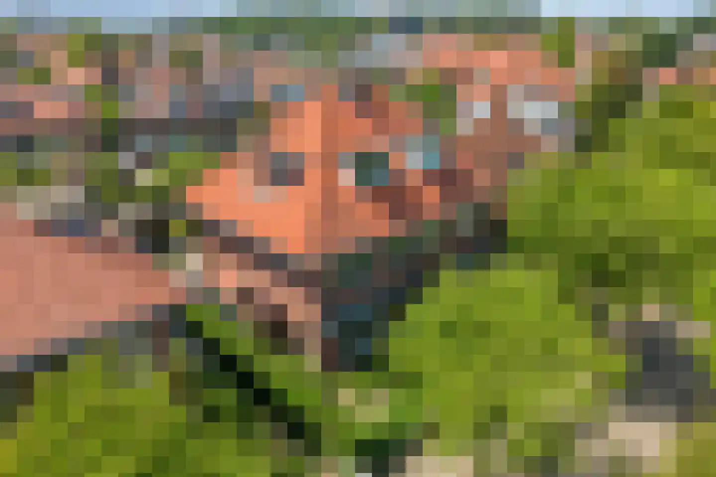 Emmalaan 18 Oegstgeest thumbnail 45