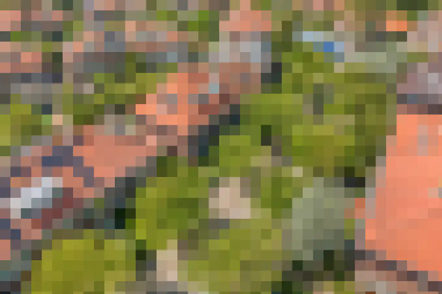 Emmalaan 18 Oegstgeest thumbnail 48