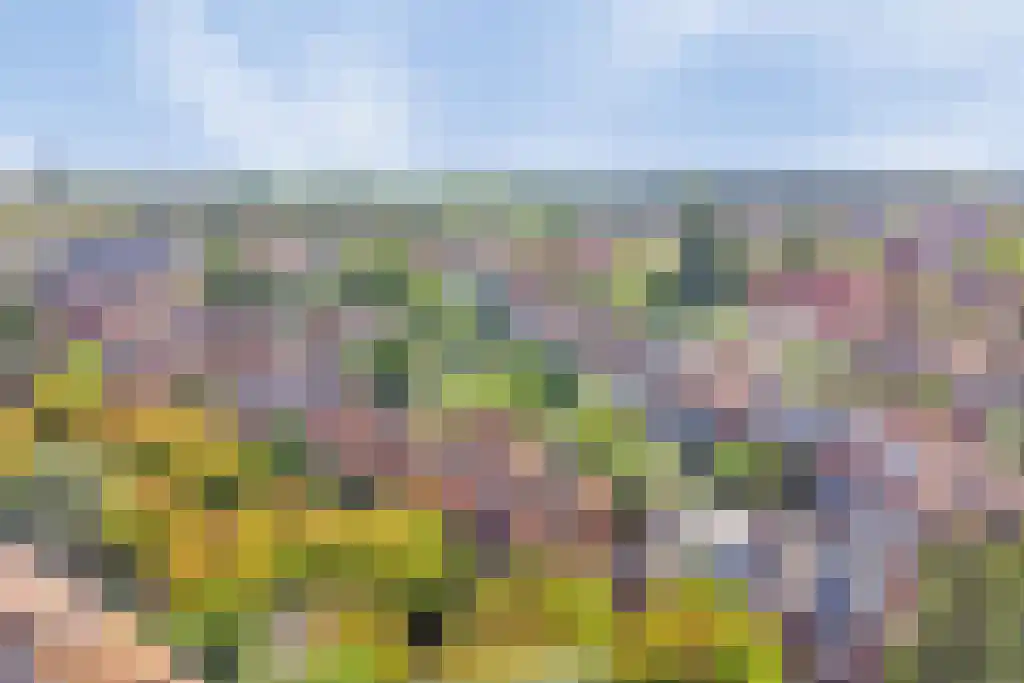 Emmalaan 18 Oegstgeest thumbnail 50