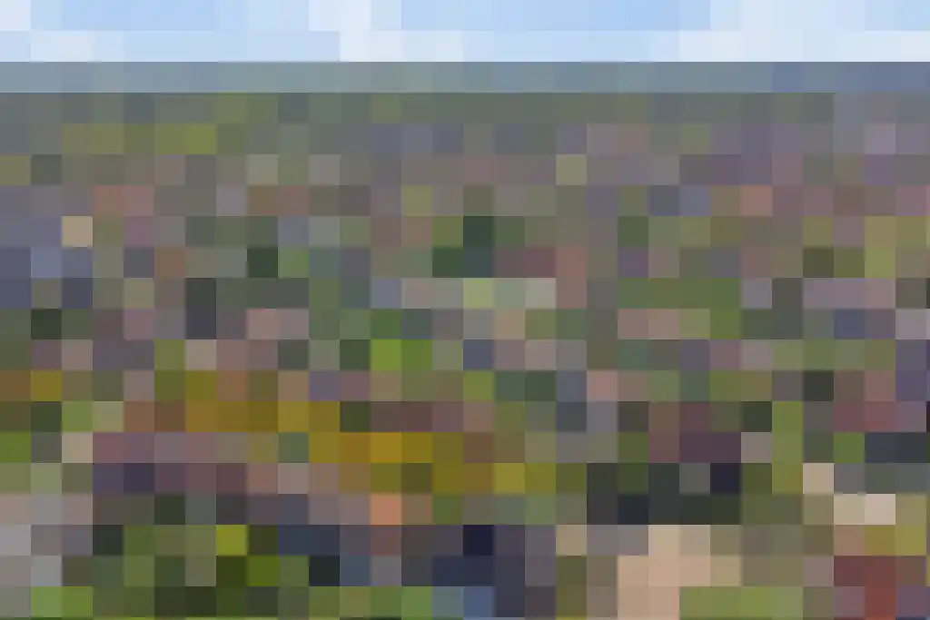 Emmalaan 18 Oegstgeest thumbnail 52