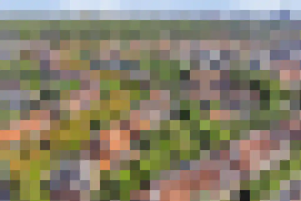 Emmalaan 18 Oegstgeest thumbnail 53