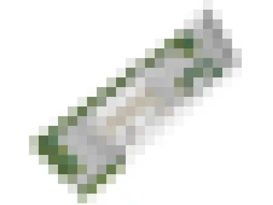 Emmalaan 18 Oegstgeest thumbnail 61