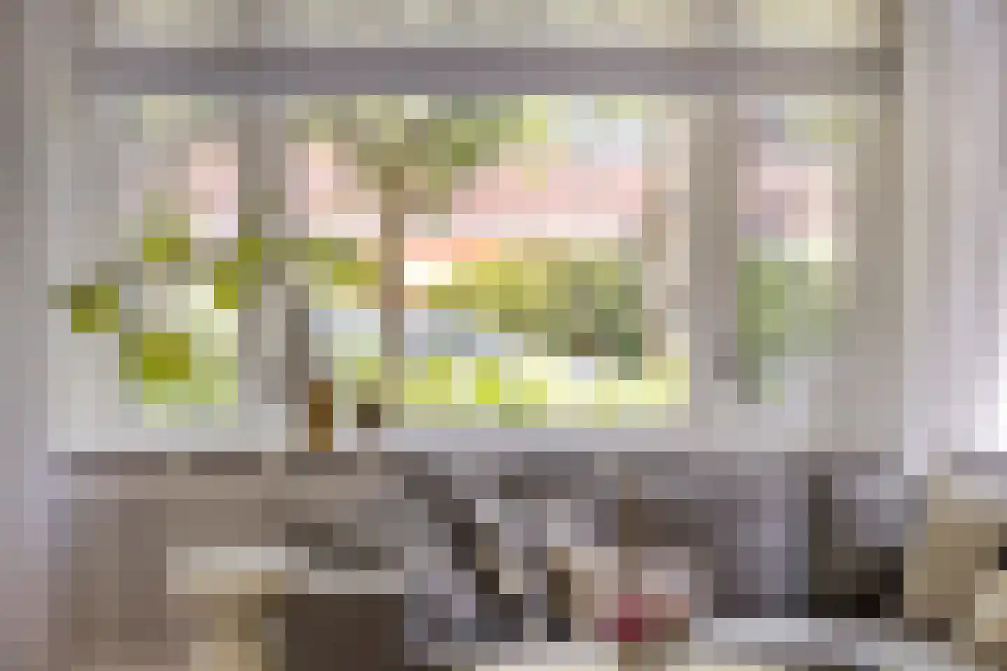 Emmalaan 18 Oegstgeest thumbnail 8