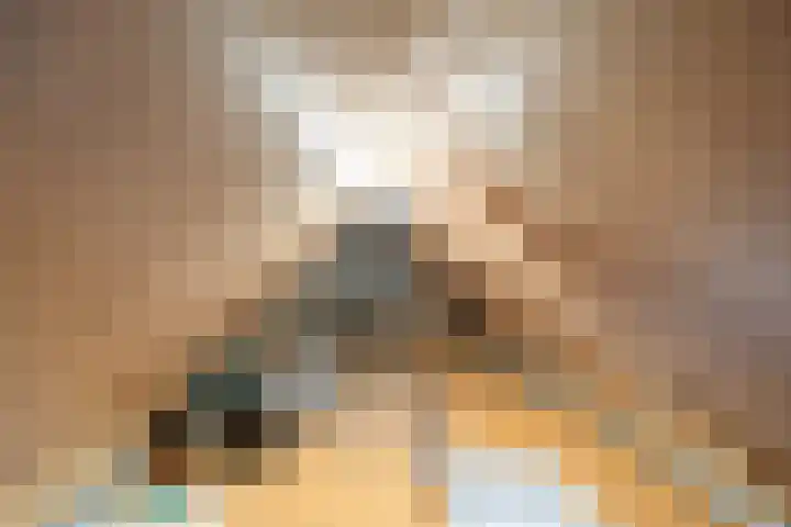 Emmalaan 18 Zuidhorn thumbnail 30