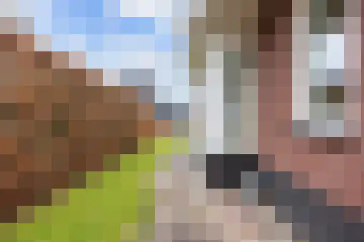 Emmalaan 18 Zuidhorn thumbnail 31