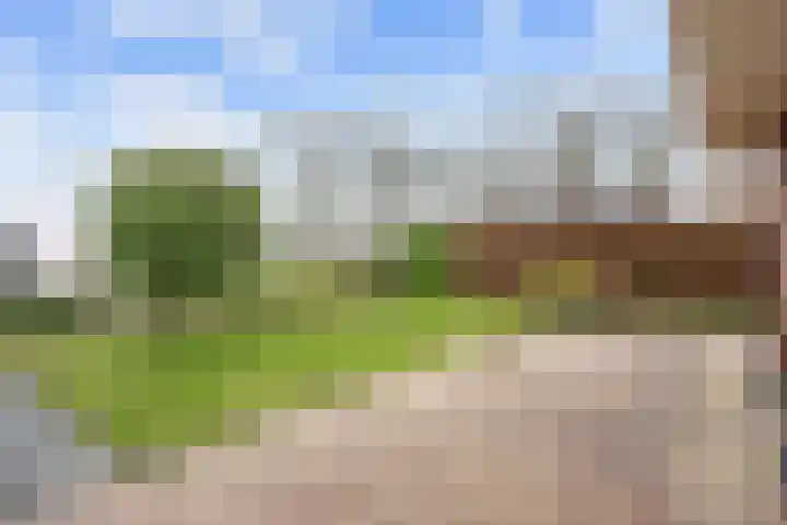 Emmalaan 18 Zuidhorn thumbnail 32