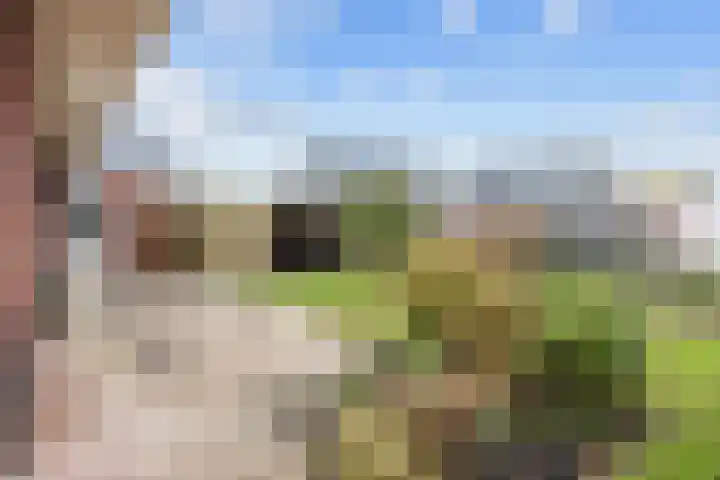 Emmalaan 18 Zuidhorn thumbnail 34