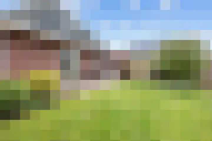 Emmalaan 18 Zuidhorn thumbnail 35