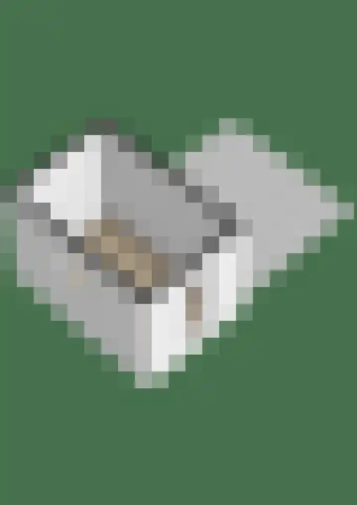 Emmalaan 18 Zuidhorn thumbnail 48