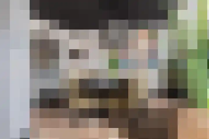 Emmalaan 19 Emmen thumbnail 17