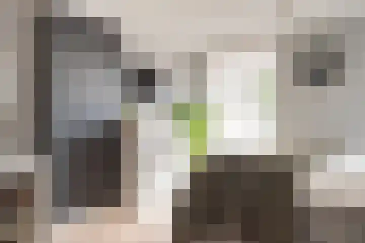 Emmalaan 19 Emmen thumbnail 21