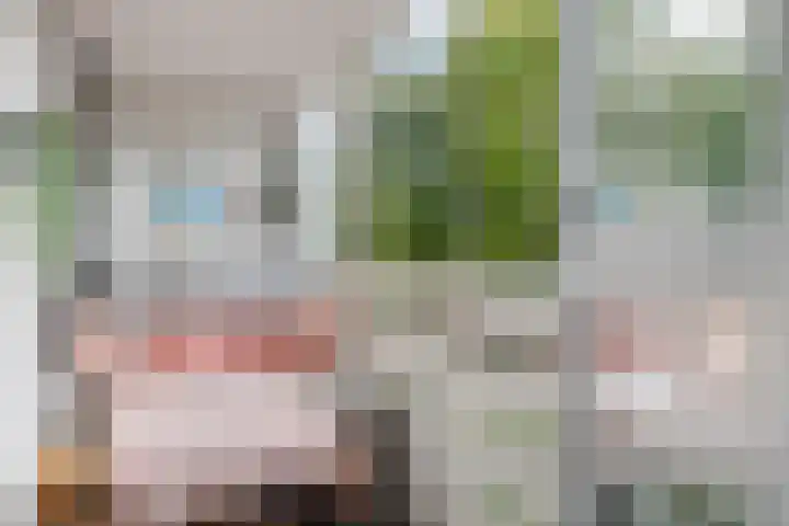 Emmalaan 19 Emmen thumbnail 29