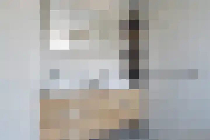 Emmalaan 19 Emmen thumbnail 34