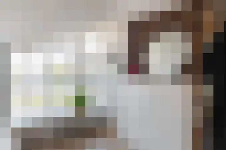 Emmalaan 19 Emmen thumbnail 36